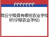 商丘宁陵县有哪些农业学校好(宁陵农业学校)
