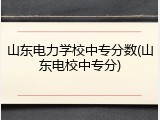 山东电力学校中专分数(山东电校中专分)
