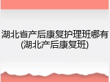 湖北省产后康复护理班哪有(湖北产后康复班)