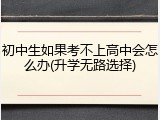 初中生如果考不上高中会怎么办(升学无路选择)