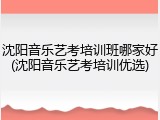 沈阳音乐艺考培训班哪家好(沈阳音乐艺考培训优选)