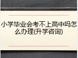 小学毕业会考不上高中吗怎么办理(升学咨询)