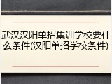 武汉汉阳单招集训学校要什么条件(汉阳单招学校条件)