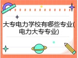 大专电力学校有哪些专业(电力大专专业)