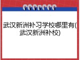 武汉新洲补习学校哪里有(武汉新洲补校)