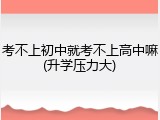 考不上初中就考不上高中嘛(升学压力大)