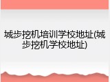 城步挖机培训学校地址(城步挖机学校地址)