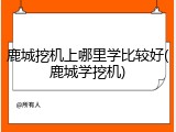 鹿城挖机上哪里学比较好(鹿城学挖机)