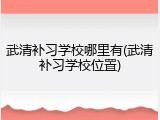 武清补习学校哪里有(武清补习学校位置)