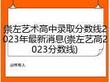 崇左艺术高中录取分数线2023年最新消息(崇左艺高2023分数线)
