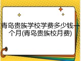 青岛贵族学校学费多少钱一个月(青岛贵族校月费)