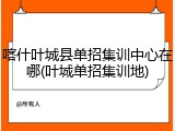 喀什叶城县单招集训中心在哪(叶城单招集训地)