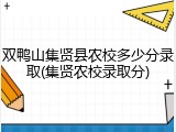 双鸭山集贤县农校多少分录取(集贤农校录取分)