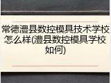 常德澧县数控模具技术学校怎么样(澧县数控模具学校如何)
