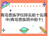 青岛贵族学校排名前十名高中(青岛贵族高中前十)