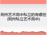 荆州艺术高中私立的有哪些(荆州私立艺术高中)