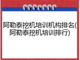 阿勒泰挖机培训机构排名(阿勒泰挖机培训排行)