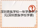 深圳贵族学校一年学费多少元(深圳贵族学校学费)