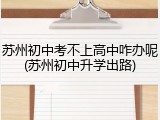 苏州初中考不上高中咋办呢(苏州初中升学出路)