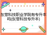 东营科技职业学院有专升本吗(东营科技专升本)