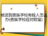 被送到贵族学校有钱人怎么办(贵族学校应对财富)