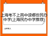 上海考不上高中读哪些民办中学(上海民办中学推荐)