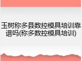 玉树称多县数控模具培训靠谱吗(称多数控模具培训)