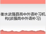 衡水武强县高中外语补习机构(武强高中外语补习)