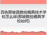 百色那坡县数控模具技术学校怎么样(那坡数控模具学校如何)