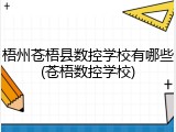 梧州苍梧县数控学校有哪些(苍梧数控学校)