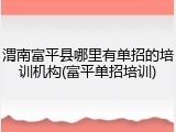 渭南富平县哪里有单招的培训机构(富平单招培训)