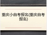 重庆小自考报名(重庆自考报名)