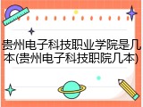 贵州电子科技职业学院是几本(贵州电子科技职院几本)