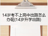 14岁考不上高中出路怎么办呢(14岁升学出路)