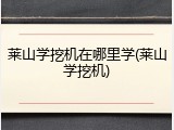 莱山学挖机在哪里学(莱山学挖机)