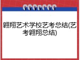 翱翔艺术学校艺考总结(艺考翱翔总结)