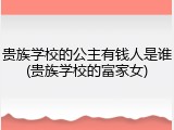 贵族学校的公主有钱人是谁(贵族学校的富家女)