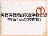 黄石黄石港的农业学校在哪里(黄石港农校位置)