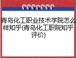 青岛化工职业技术学院怎么样知乎(青岛化工职院知乎评价)
