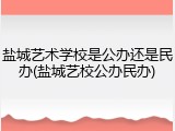 盐城艺术学校是公办还是民办(盐城艺校公办民办)