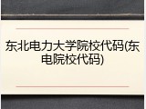 东北电力大学院校代码(东电院校代码)