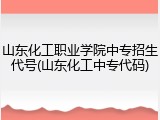 山东化工职业学院中专招生代号(山东化工中专代码)