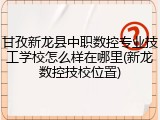 甘孜新龙县中职数控专业技工学校怎么样在哪里(新龙数控技校位置)
