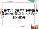 乌鲁木齐乌鲁木齐县数控专业就业前景(乌鲁木齐数控就业前景)