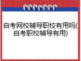 自考网校辅导职校有用吗(自考职校辅导有用)