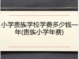 小学贵族学校学费多少钱一年(贵族小学年费)