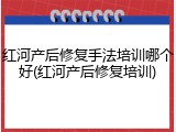 红河产后修复手法培训哪个好(红河产后修复培训)