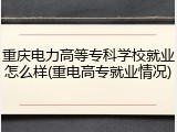 重庆电力高等专科学校就业怎么样(重电高专就业情况)