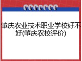 肇庆农业技术职业学校好不好(肇庆农校评价)