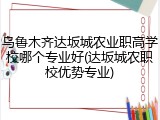 乌鲁木齐达坂城农业职高学校哪个专业好(达坂城农职校优势专业)